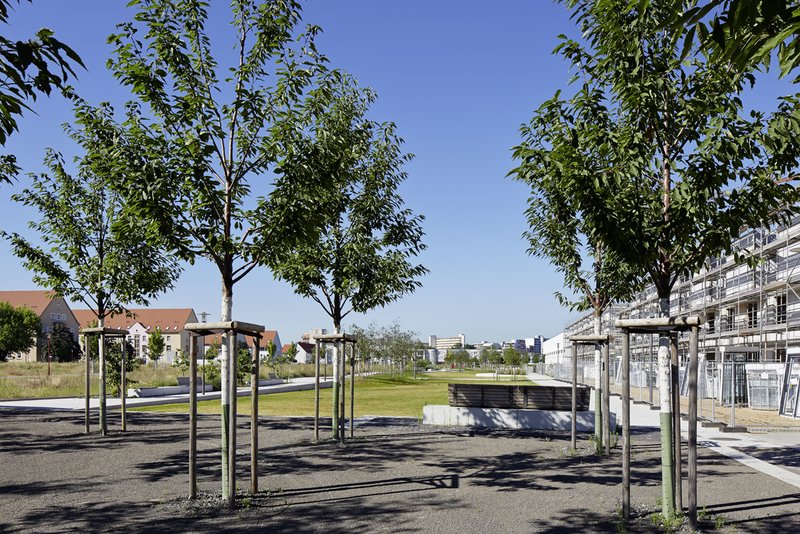 centro verde
grünzug auf dem gelände der ehemaligen ludwig frank kaserne in mannheim


freiraumgestaltung:
stefan helleckes landschaftsarchitektur
stephanienstraße 15
76133 karlsruhe