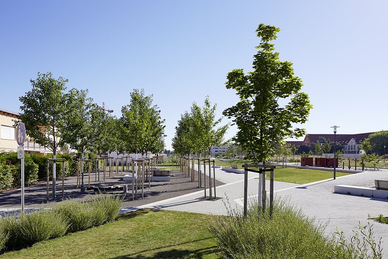 centro verde
grünzug auf dem gelände der ehemaligen ludwig frank kaserne in mannheim


freiraumgestaltung:
stefan helleckes landschaftsarchitektur
stephanienstraße 15
76133 karlsruhe