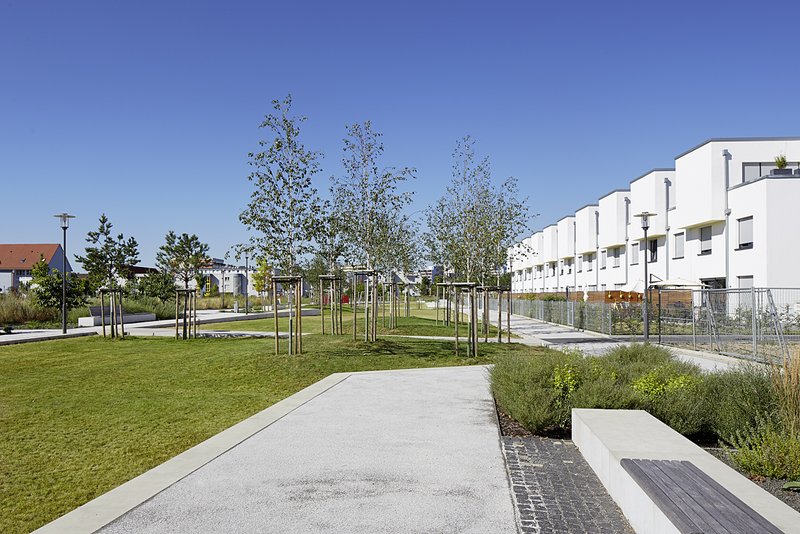 centro verde
grünzug auf dem gelände der ehemaligen ludwig frank kaserne in mannheim


freiraumgestaltung:
stefan helleckes landschaftsarchitektur
stephanienstraße 15
76133 karlsruhe