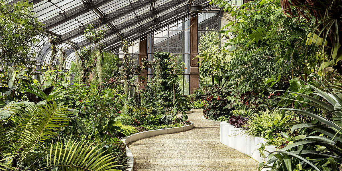 Gewaechshaeuser Botanischer Garten Karlsruhe