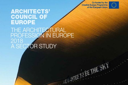 2018: Umfrage - ACE Sektorstudie