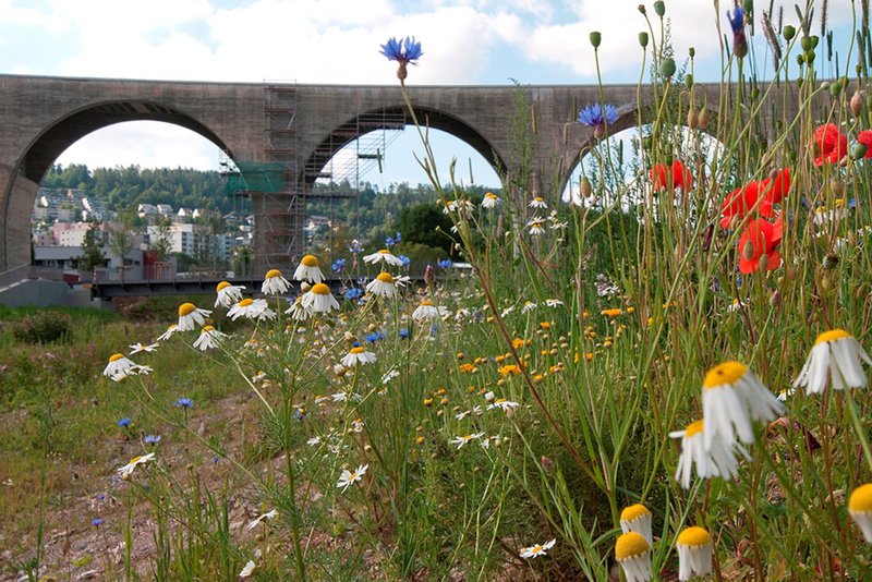 Foto: LGS Nagold 2012