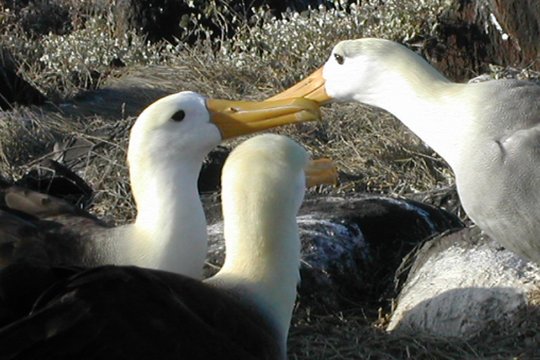 Literatur: Existenzgründung / Büroführung