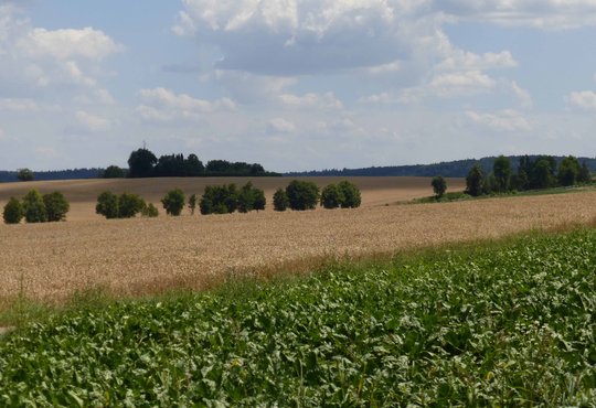 Strukturförderung im Ländlichen Raum des Rhein-Neckar-Kreises am 9.07.2018 in Sinsheim