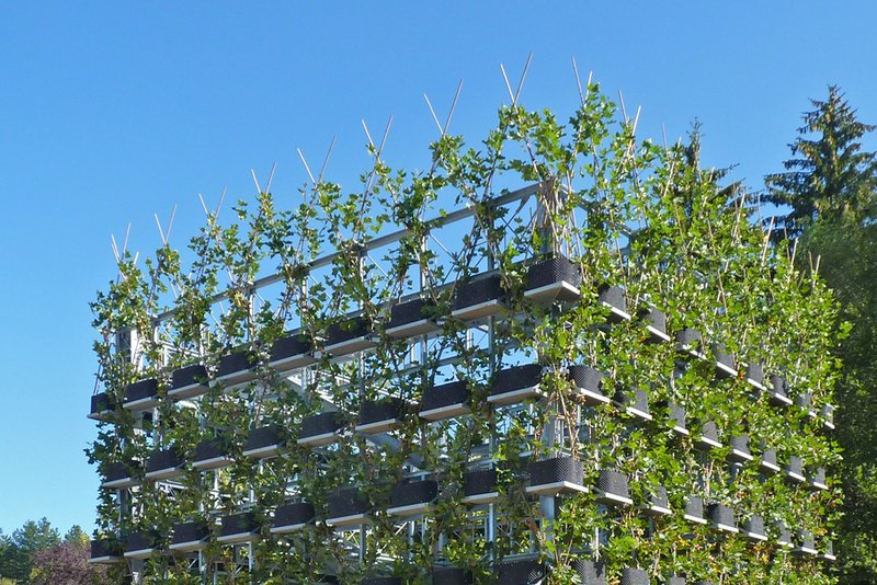 Pflanze und Architektur – eine Vision wird wahr