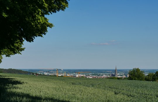 Gute Entscheidung: Grundstücksfonds BW