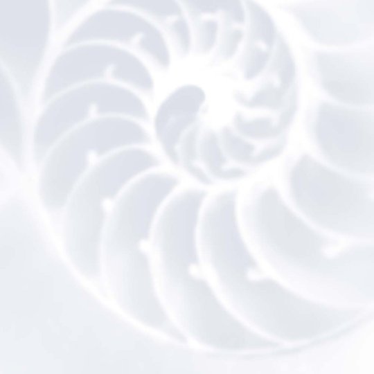 Alles zum Beispielhaften Bauen