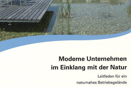 Moderne Unternehmen im Einklang mit der Natur