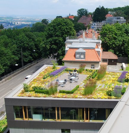 Wettbewerb Stadtverschönerung