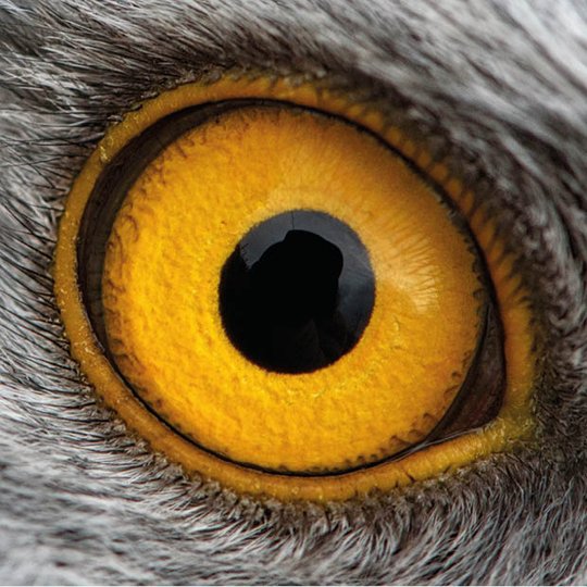 Mit Coaching erfolgreich in die Zukunft