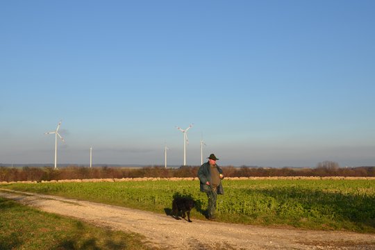 Stellungnahmen zum Thema Windenergie