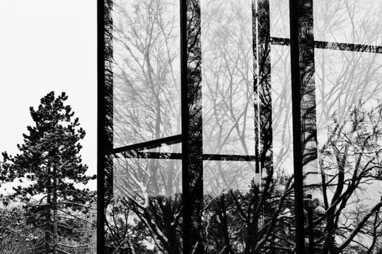 Foto: Julia Pommerenke