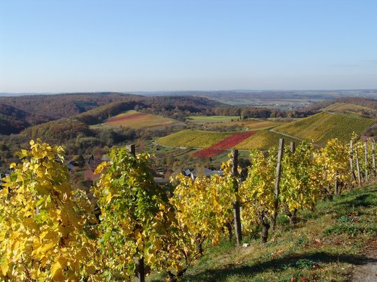 Auszeichnungsverfahren 2018