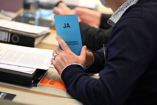 Landesvertreterversammlung 2019