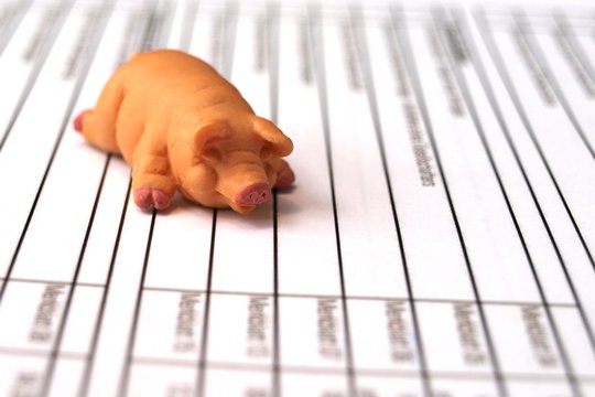 Fördermöglichkeiten für Gründer