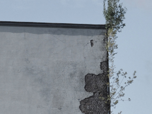 Beurteilung von Gebäudeschäden