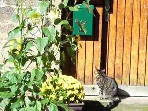 Neues Wohnungseigentumsgesetz stärkt Eigentümer