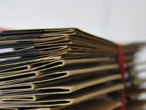 Schutz der Berufsbezeichnung