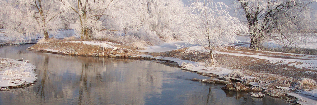 Hochwasserschutz und naturnahe Umgestaltung der Schuttermündung, Kehl - Landschaftsarchitekt: bhm Planungsgesellschaft mbH, Bruchsal