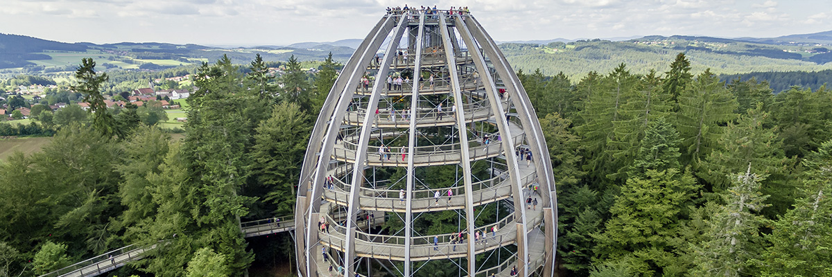 Baumturm als Höhepunkt des Baumwipfelpfads im Nationalpark Bayerischer Wald, Schönau | Architekt: Josef Stöger | Foto: Erlebnis Akademie AG/Baumwipfelpfad Bayerischer Wald