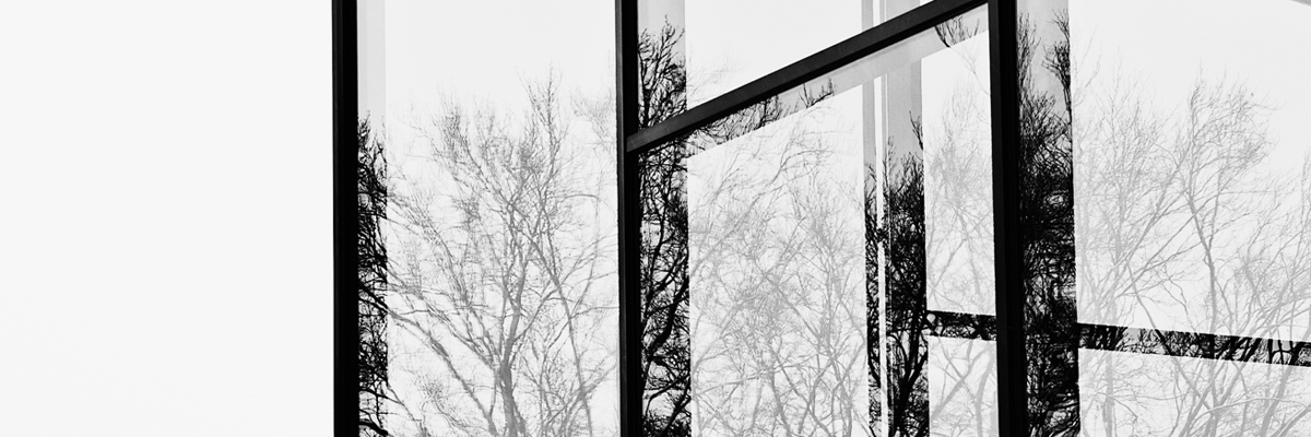 Foto: Julia Pommerenke