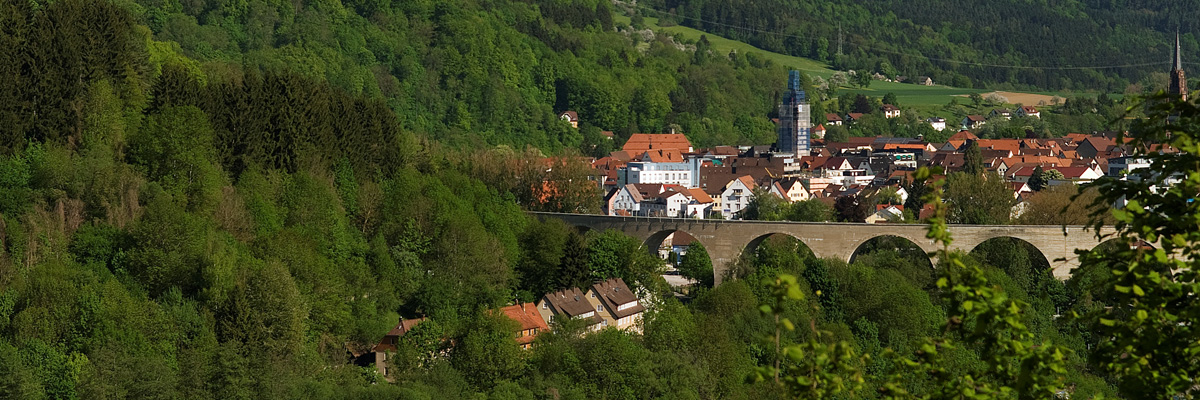 Foto: LGS Nagold 2012