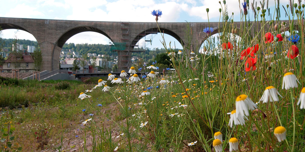 Foto: LGS Nagold 2012