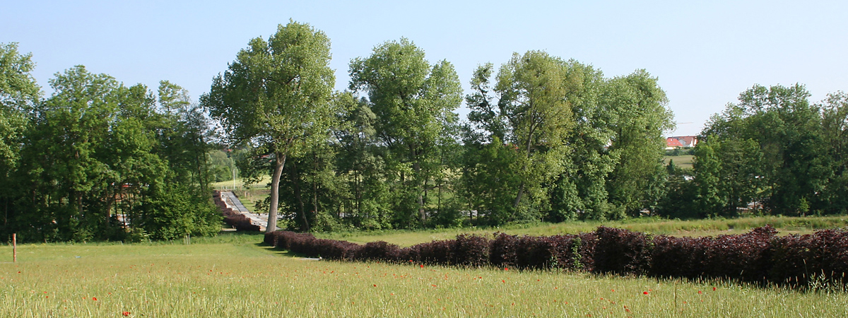 Prämiert beim Beispielhaften Bauen: Landschaftspark Cappelaue und Renaturierung der Ohrn, Öhringen; Landschaftsarchitekten: RMP Stephan Lenzen Landschaftsarchitekten, Bonn; Foto: Roman Mensing Fotografie