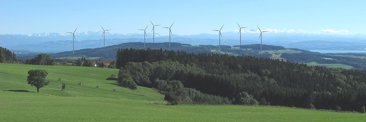 Bildmontage: Ulrich Bielefeld